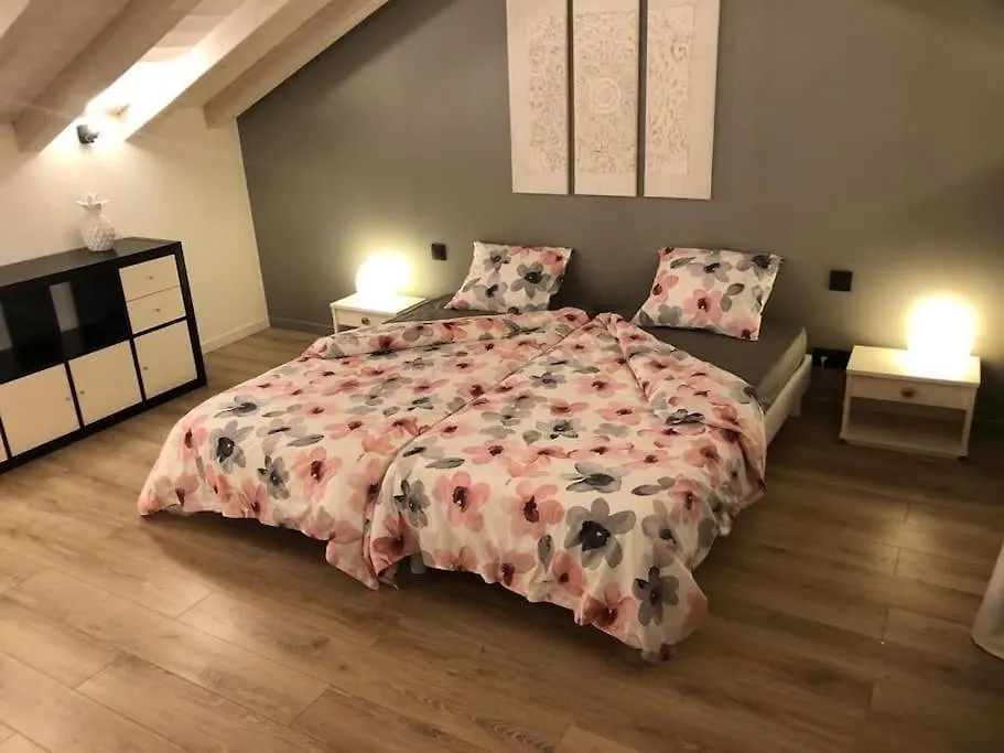 Laya'Ppart Apartment Boege